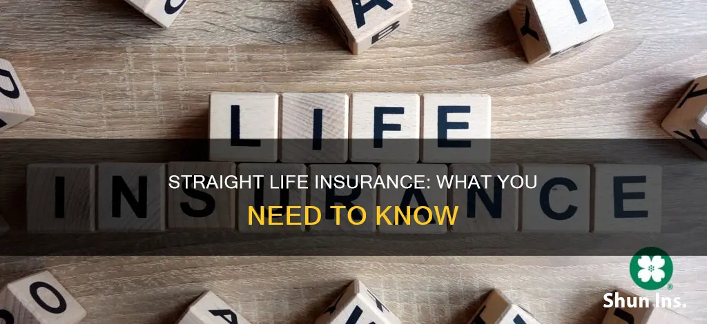 what is straight life life insurance