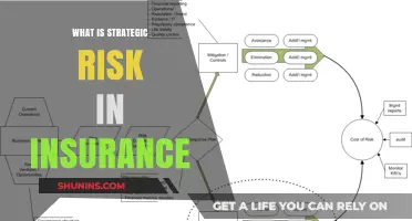 Strategic Risk: Insurance's Ultimate Challenge
