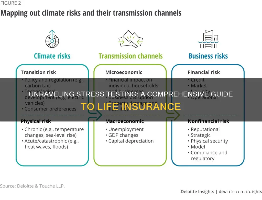 what is stress testing in life insurance