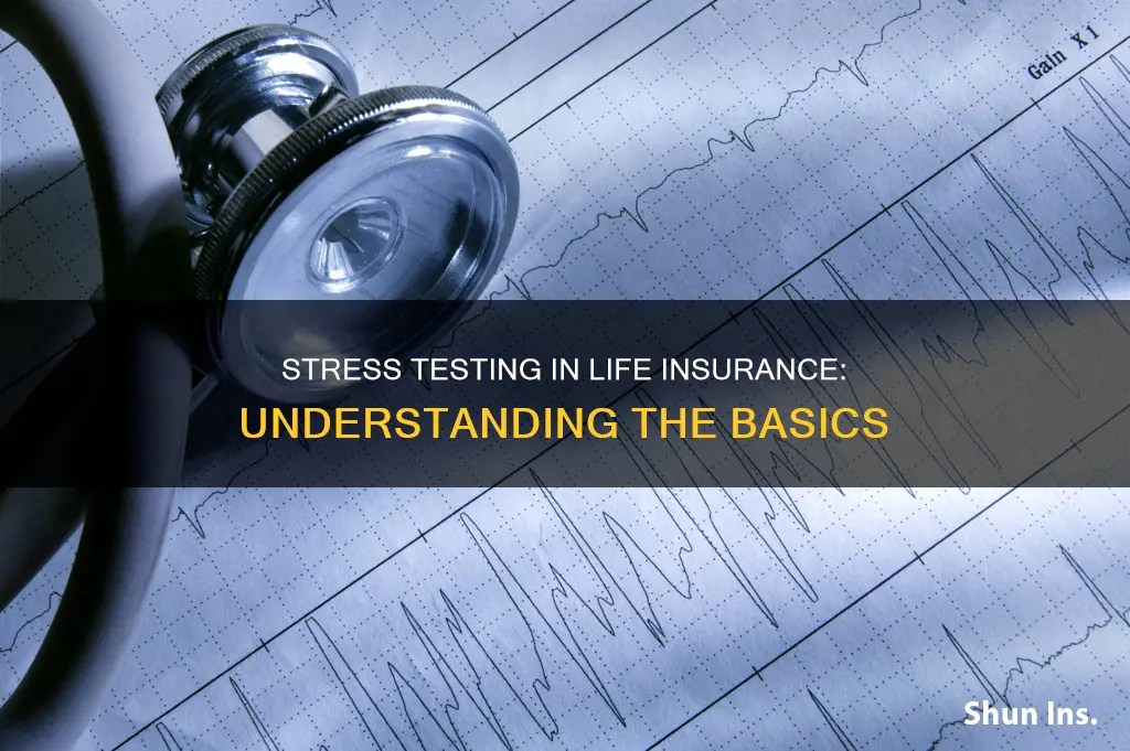 what is stress testing in life insurance