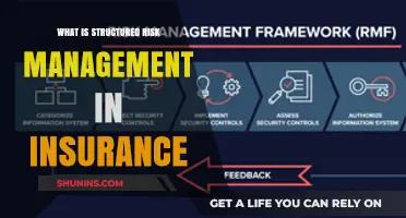 Structured Risk Management: Insurance's Ultimate Guide