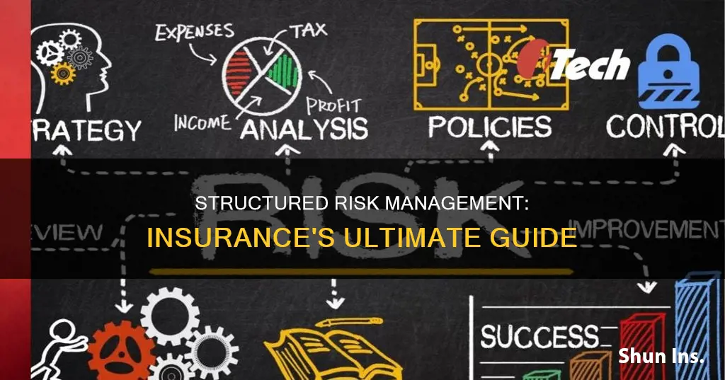 what is structured risk management in insurance