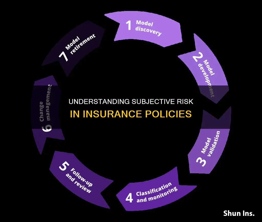 what is subjective risk in insurance
