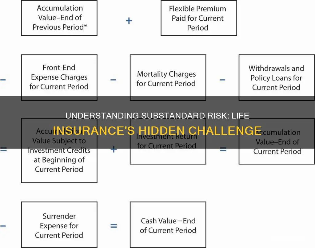 what is substandard risk in life insurance