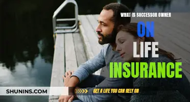 Understanding Successor Owner: Life Insurance Ownership Explained