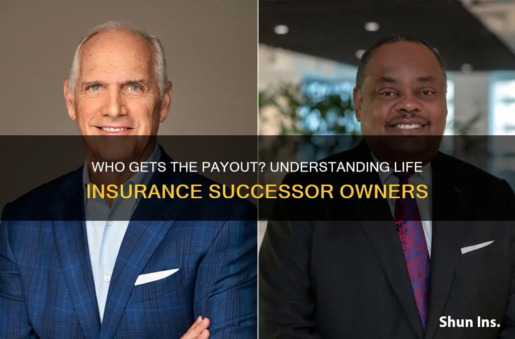 what is successor owner on life insurance