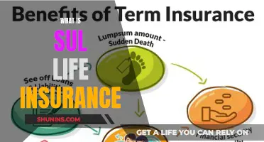 Understanding Sul Life Insurance: A Comprehensive Guide