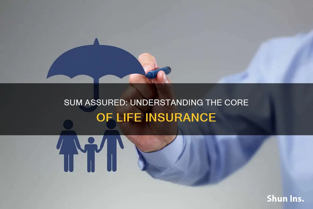 what is sum assured in life insurance