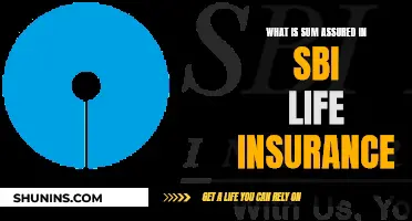 Sum Assured: Understanding Your SBI Life Insurance Coverage