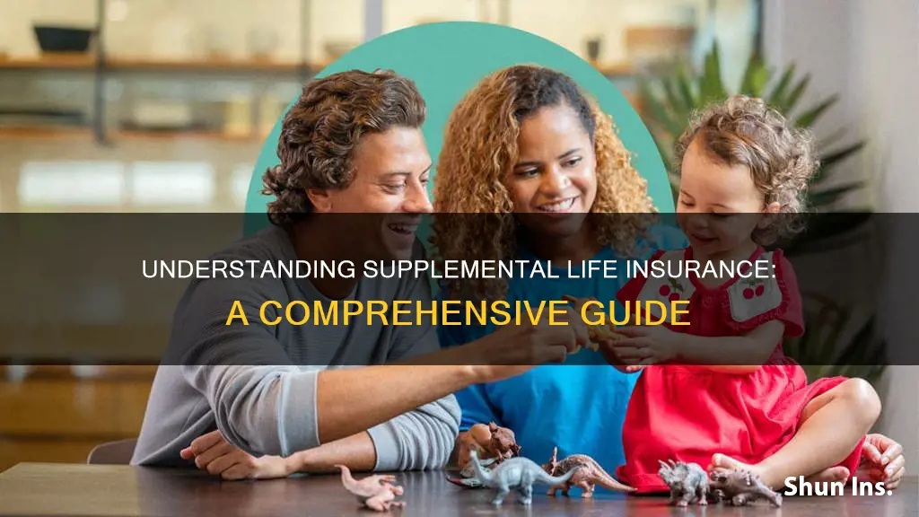 what is suplemental life insurance