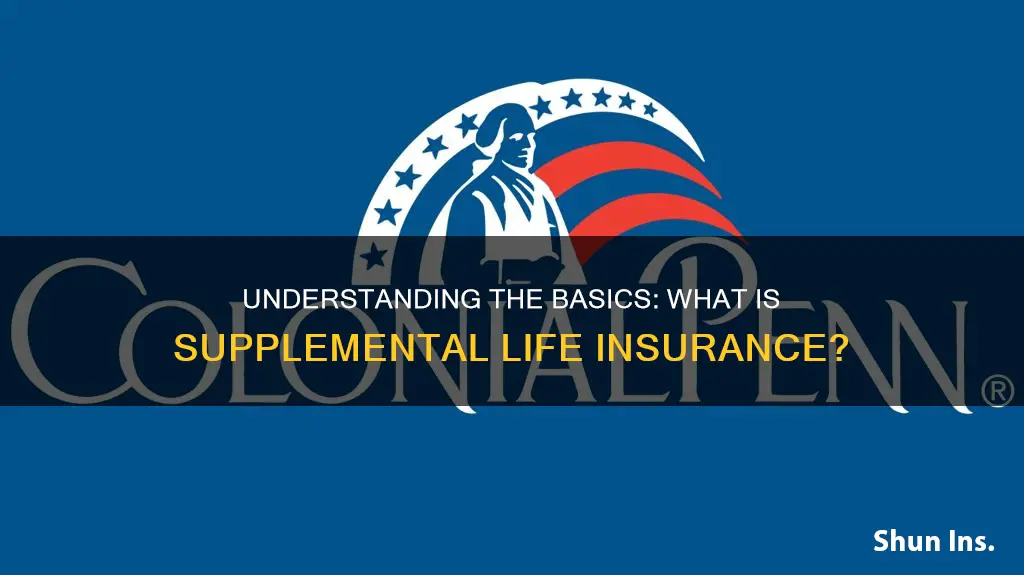 what is supplemantal life insurance