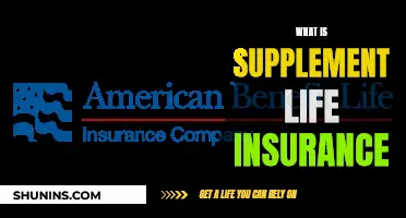 Understanding the Basics: What is Supplement Life Insurance?