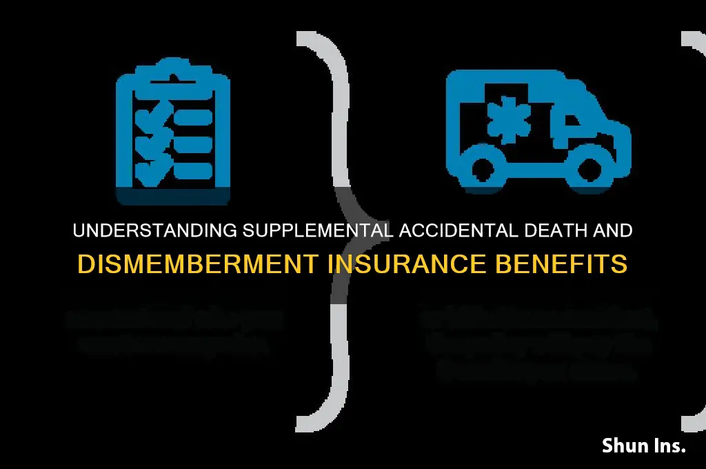 what is supplemental accidental death and dismemberment insurance