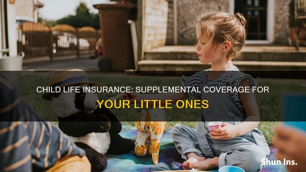 what is supplemental child life insurance