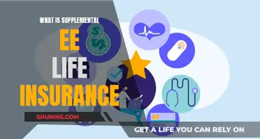 Understanding Supplemental E&E Life Insurance: A Comprehensive Guide