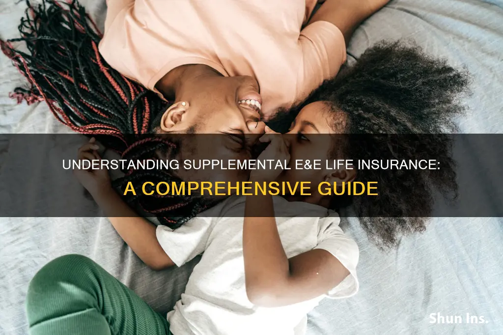 what is supplemental ee life insurance