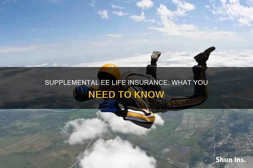 what is supplemental ee life insurance