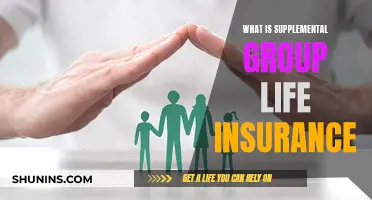 Understanding Supplemental Group Life Insurance: A Comprehensive Guide