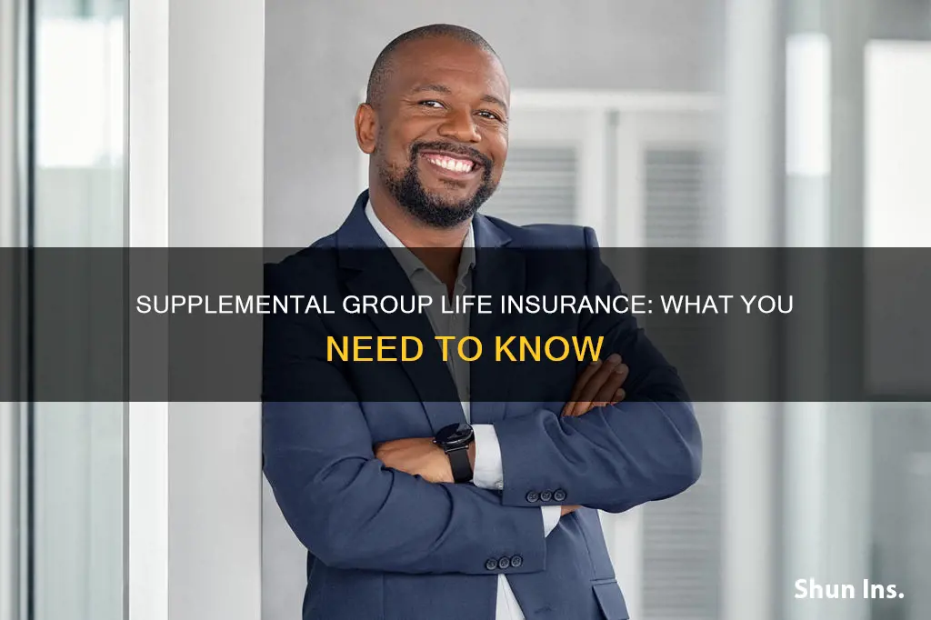 what is supplemental group life insurance