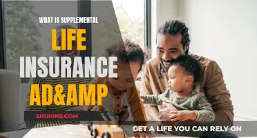 Understanding Supplemental Life Insurance: A Comprehensive Guide to Additional Coverage