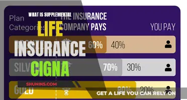 Cigna's Supplemental Life Insurance: A Comprehensive Guide