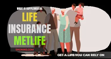 Understanding MetLife's Supplemental Life Insurance: A Comprehensive Guide