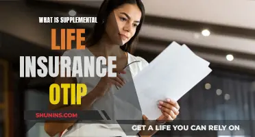 Understanding Supplemental Life Insurance: OTIP Benefits and Coverage