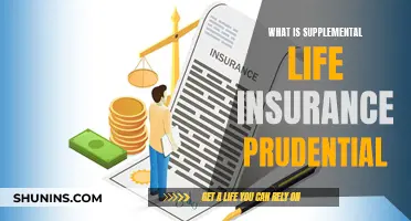 Prudential Supplemental Life Insurance: A Comprehensive Guide