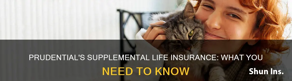 what is supplemental life insurance prudential