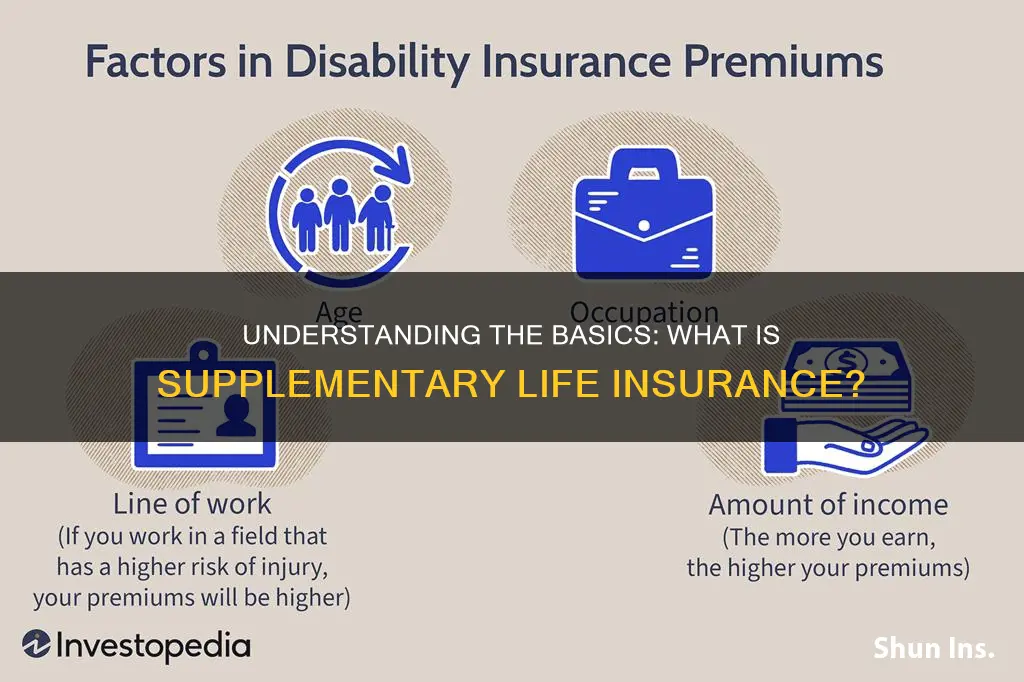 what is supplementary life insurance