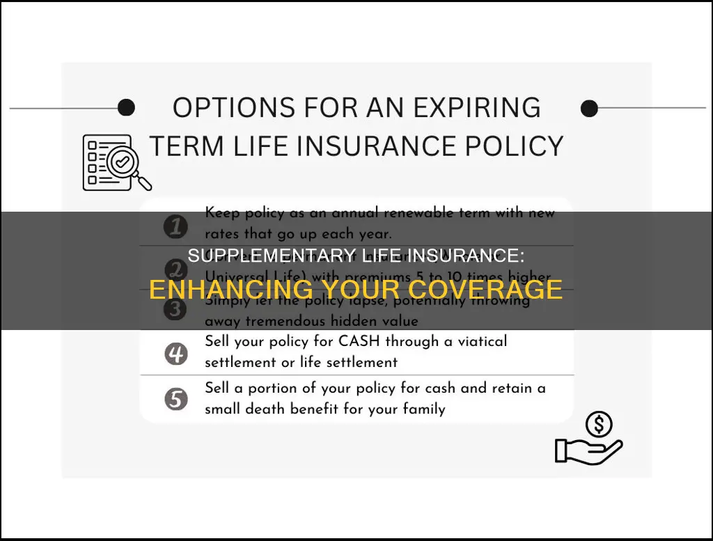 what is supplementary life insurance