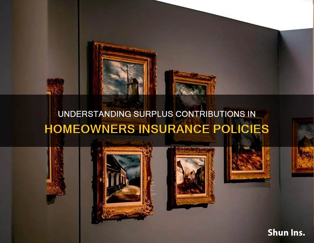 what is surplus contribution on homeowners insurance