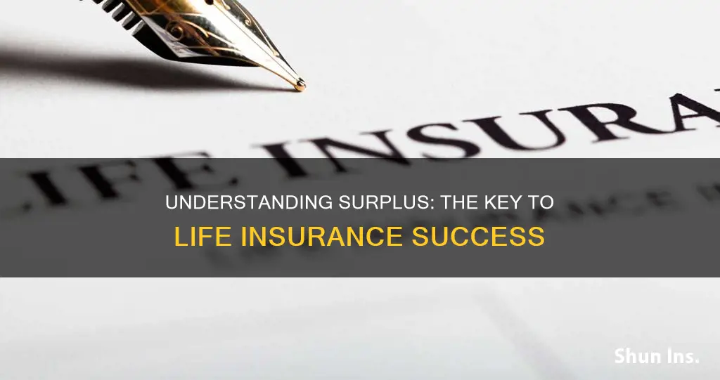 what is surplus in life insurance