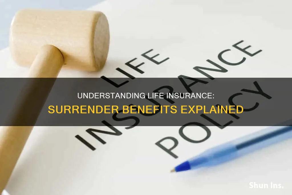 what is surrender benefit in life insurance