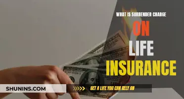 Understanding Life Insurance: Surrender Charges Explained