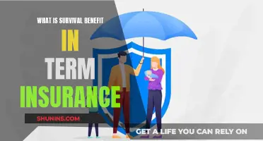 Unraveling the Intricacies of Survival Benefits in Term Insurance: A Comprehensive Guide