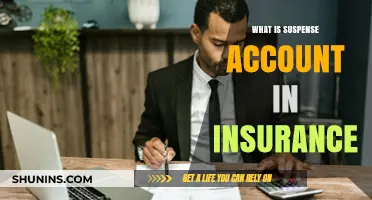 Understanding Insurance Suspense Accounts
