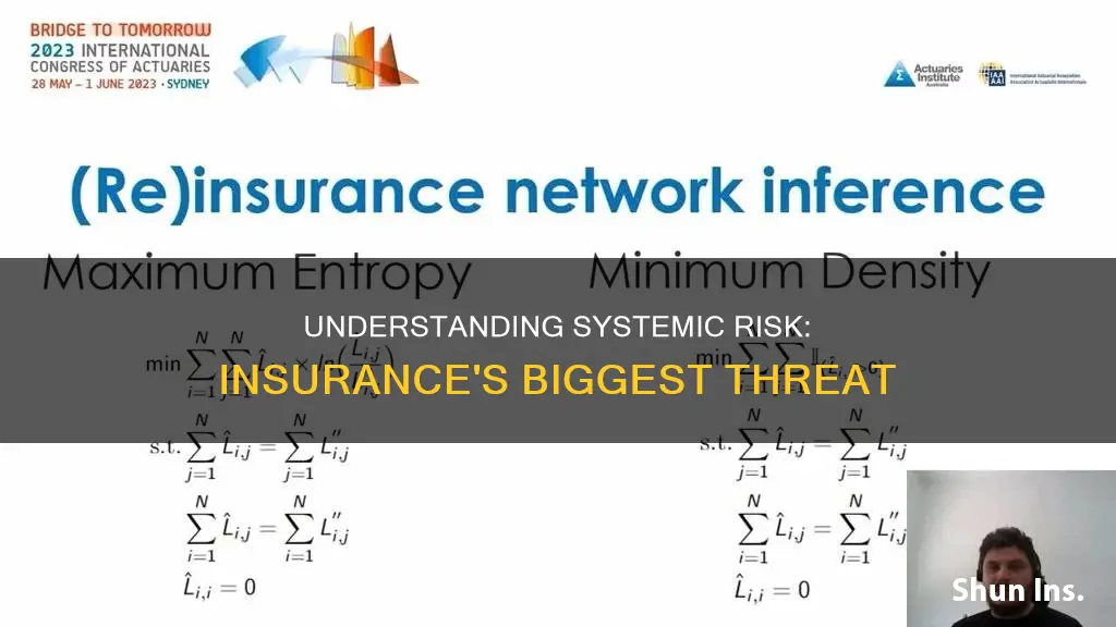 what is systemic risk in insurance
