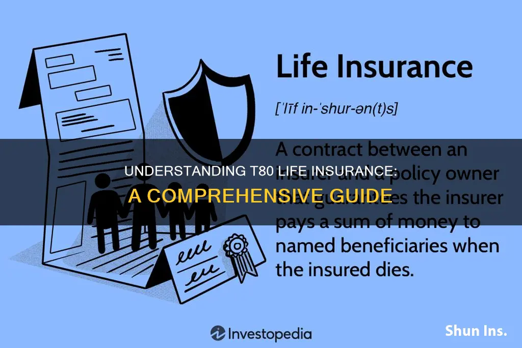 what is t80 life insurance