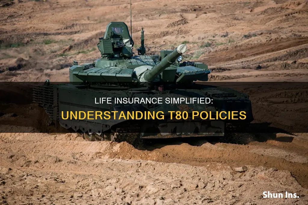 what is t80 life insurance