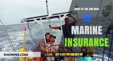 Understanding Tail End Risk in Marine Insurance