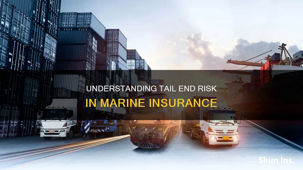 what is tail end risk in marine insurance