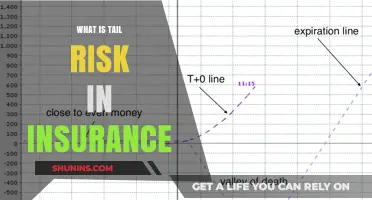 Understanding Tail Risk: Insurance's Black Swan Events