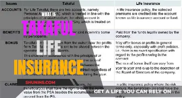 Takaful Life Insurance: A Comprehensive Guide to Islamic Financial Protection