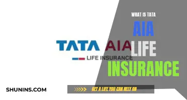 Unraveling Tata AIG's Life Insurance Offerings: A Comprehensive Guide