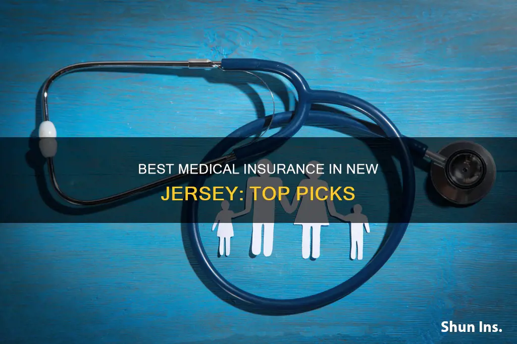 what is teh best medical insurence in new jersey