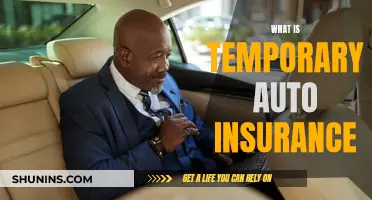 Temporary Auto Insurance: When and Why You Need It