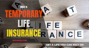 Temporary Life Insurance: What You Need to Know