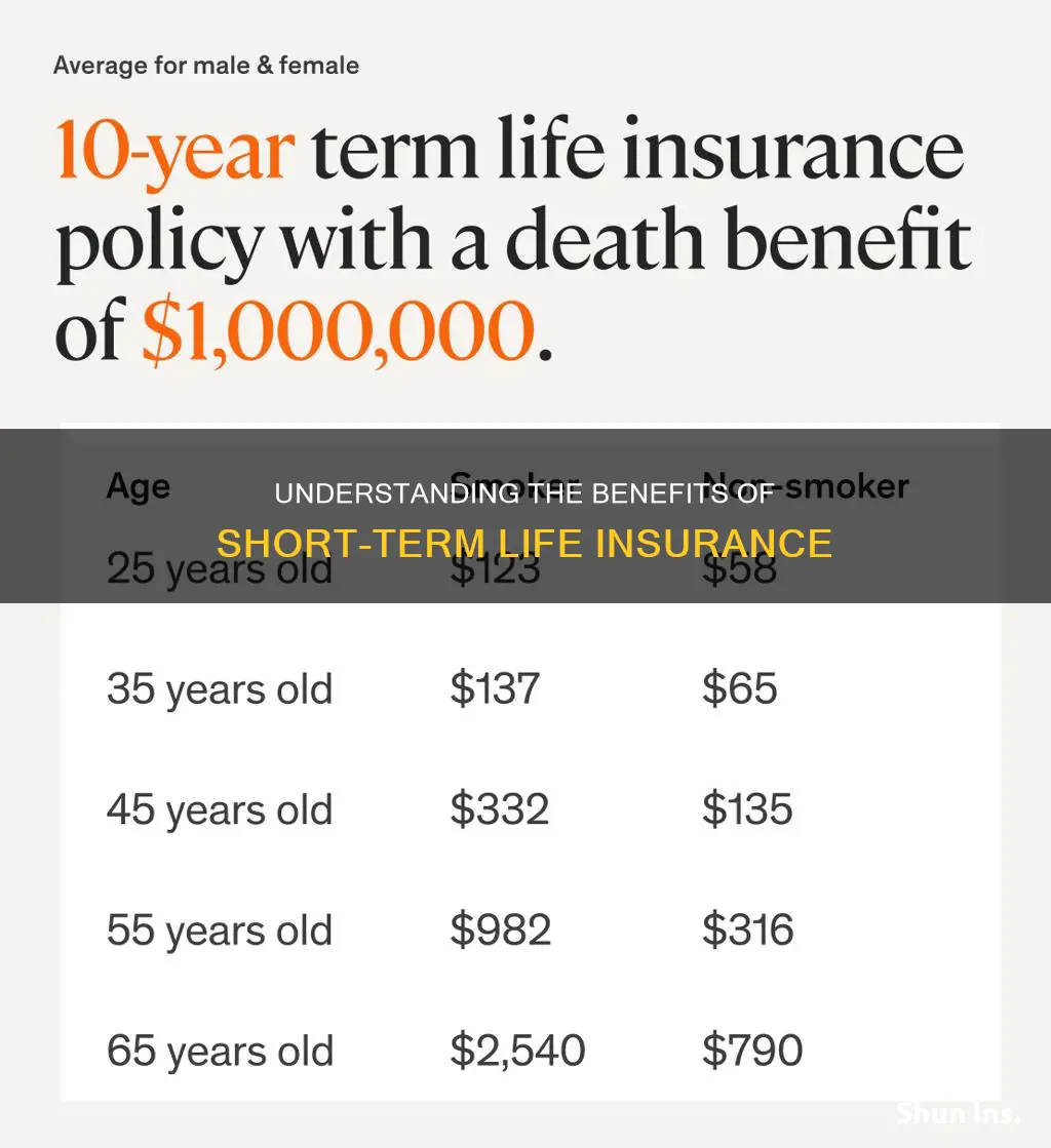 what is ten year term life insurance