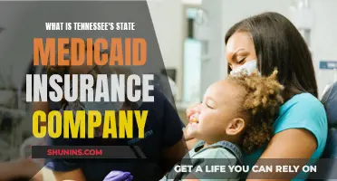 Tennessee's State Medicaid Insurance: Who Runs the Show?